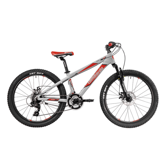 24 inch top aluminium bike