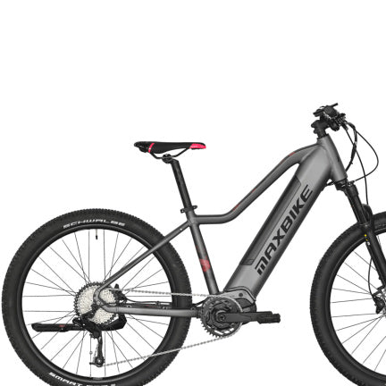 Elektrische mountainbikes