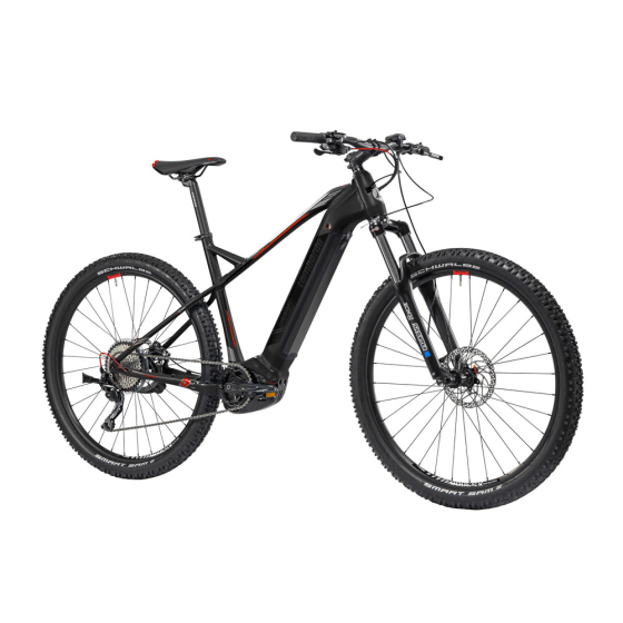 Chamonix 8.0 29 inch mountainbike in zwart-rood